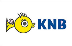 logo knb 20150619